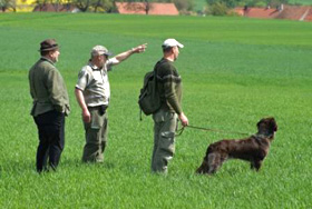 VJP Schlüsselfeld 2009