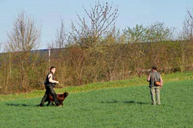 VJP Kulmbach 2010		 				 				Verbandsjugendprüfung 2010 in Buchheim am 10. April 				 				 				 				 						 							 Gemeldet: 18, geprüft:18, bestanden:17 Hunde 							Punkte 						 						 							Kira von der Riedleite 43/09, gew. 24.01.2009, spl,sil,AH 								F:Alfons Reiner, 86502 Osterbuch 							77 						 						 							Mira von der  Schmiede 16/09, gew. 29.01.2009, spl,sil 							F: Ulrich Mergner, 96157 Ebracht 							76 						 						 							Herzog von Buchheim 444/08, gew. 03.10.2008, stumm 							F: Christian Seelmann, 91315 Höchstadt/A, 							75 						 					 							/Horneth von Buchheim 446/08, gew. 03.10.2008, sil 							F: Leonhard Schmieg, 91593 Buchheim 							74 						 					 							Hanno vom Emsdeich 582/08, gew. 26.12.2008, sil 							F: Uwe Meißner, 91620 Ohrenbach 							73 						 					 							Bazi vom Labertal 522/08, gew. 02.11.2008,sil 							F: Detlev Ring, 96152 Burghaslach 							70 						 					 						Yesterday vom Sämmenhof 384/09, gew. 06.09.2009, sil 							F: Hans Sämmer, 97950 Gerchsheim 						67  					 					 						Yesko vom Sämmenhof 377/09, gew. 06.09.2009, Laut fragl 							F: Hans Sämmer, 97950 Gerchsheim 						67 					 					 						Yulchen vom Sämmenhof 385/09, gew. 06.09.2009, silF: Kerstin Epp, 97957 Wittighausen 						66 					 					 						Ayka von der Bachmühle 540/08, gew. 25.12.2008, sil 							F: Erika Hauf, 91598 Colmberg 						63  					 					 						Heidi von Buchheim 445 /08, gew. 03.10.2009, sil 							F: Burkhard Merget, 63791 Karlsteins 						55 					 					 						Bero vom großen Herzberg 279/09, gew. 06.05.2009, sil 							F: Bernd Franke, 31195 Lamspringe 						54 					 					 						 							 								 									 										Hunde aus dem Zuchtversuch 									 								 							 						 					 					 						 							 						 					 					 						Etzel von Buchheim 34ZV09 - 65/09, gew. 06.02.2009, spl 							F: Ursula Reese-Schicker, 90592 Schwarzenbruck 						74 					 					 						Esche von Buchheim 37ZV09 - 68/09, gew. 06.02.2009, spl 							F: Christoph Rabeler, 25872 Ostenfeld 						70 					 					 						Enjia von Buchheim 36ZV09 - 67/09, gew. 06.02.2009, spl, sil 							F: Klaus Eisen, 97215 Simmershofen 						67 					 					 						Eiko von Buchheim 32ZV09 - 63/09, gew. 06.02.2009, spl 							F: Waltraud Müller, 91572 Bechhofen 						63 					 					 						Equo von Buchheim 33ZV09 - 64/09, gew. 06.02.2009, spl 							F: Jörn Cordes, 26840 Koldenbüttel 						62  					 					 				 				 				Suchensieger wurde Kira von der Riedleite, geführt von Alfons Reiner 			 			 	