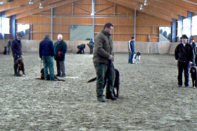 Zuchtschau SCL - Eschenau 2010	 				 				Verbandsjugendprüfung 2010 in Buchheim am 10. April 				 				 				 				 						 							 Gemeldet: 18, geprüft:18, bestanden:17 Hunde 							Punkte 						 						 							Kira von der Riedleite 43/09, gew. 24.01.2009, spl,sil,AH 								F:Alfons Reiner, 86502 Osterbuch 							77 						 						 							Mira von der  Schmiede 16/09, gew. 29.01.2009, spl,sil 							F: Ulrich Mergner, 96157 Ebracht 							76 						 						 							Herzog von Buchheim 444/08, gew. 03.10.2008, stumm 							F: Christian Seelmann, 91315 Höchstadt/A, 							75 						 					 							/Horneth von Buchheim 446/08, gew. 03.10.2008, sil 							F: Leonhard Schmieg, 91593 Buchheim 							74 						 					 							Hanno vom Emsdeich 582/08, gew. 26.12.2008, sil 							F: Uwe Meißner, 91620 Ohrenbach 							73 						 					 							Bazi vom Labertal 522/08, gew. 02.11.2008,sil 							F: Detlev Ring, 96152 Burghaslach 							70 						 					 						Yesterday vom Sämmenhof 384/09, gew. 06.09.2009, sil 							F: Hans Sämmer, 97950 Gerchsheim 						67  					 					 						Yesko vom Sämmenhof 377/09, gew. 06.09.2009, Laut fragl 							F: Hans Sämmer, 97950 Gerchsheim 						67 					 					 						Yulchen vom Sämmenhof 385/09, gew. 06.09.2009, silF: Kerstin Epp, 97957 Wittighausen 						66 					 					 						Ayka von der Bachmühle 540/08, gew. 25.12.2008, sil 							F: Erika Hauf, 91598 Colmberg 						63  					 					 						Heidi von Buchheim 445 /08, gew. 03.10.2009, sil 							F: Burkhard Merget, 63791 Karlsteins 						55 					 					 						Bero vom großen Herzberg 279/09, gew. 06.05.2009, sil 							F: Bernd Franke, 31195 Lamspringe 						54 					 					 						 							 								 									 										Hunde aus dem Zuchtversuch 									 								 							 						 					 					 						 							 						 					 					 						Etzel von Buchheim 34ZV09 - 65/09, gew. 06.02.2009, spl 							F: Ursula Reese-Schicker, 90592 Schwarzenbruck 						74 					 					 						Esche von Buchheim 37ZV09 - 68/09, gew. 06.02.2009, spl 							F: Christoph Rabeler, 25872 Ostenfeld 						70 					 					 						Enjia von Buchheim 36ZV09 - 67/09, gew. 06.02.2009, spl, sil 							F: Klaus Eisen, 97215 Simmershofen 						67 					 					 						Eiko von Buchheim 32ZV09 - 63/09, gew. 06.02.2009, spl 							F: Waltraud Müller, 91572 Bechhofen 						63 					 					 						Equo von Buchheim 33ZV09 - 64/09, gew. 06.02.2009, spl 							F: Jörn Cordes, 26840 Koldenbüttel 						62  					 					 				 				 				Suchensieger wurde Kira von der Riedleite, geführt von Alfons Reiner 			 			 	