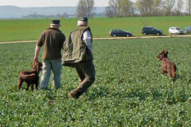 VJP Aschheim 2011	 				 						 							 Gemeldet: 18, geprüft:18, bestanden:17 Hunde 							Punkte 						 						 							Kira von der Riedleite 43/09, gew. 24.01.2009, spl,sil,AH 								F:Alfons Reiner, 86502 Osterbuch 							77 						 						 							Mira von der  Schmiede 16/09, gew. 29.01.2009, spl,sil 							F: Ulrich Mergner, 96157 Ebracht 							76 						 						 							Herzog von Buchheim 444/08, gew. 03.10.2008, stumm 							F: Christian Seelmann, 91315 Höchstadt/A, 							75 						 					 							/Horneth von Buchheim 446/08, gew. 03.10.2008, sil 							F: Leonhard Schmieg, 91593 Buchheim 							74 						 					 							Hanno vom Emsdeich 582/08, gew. 26.12.2008, sil 							F: Uwe Meißner, 91620 Ohrenbach 							73 						 					 							Bazi vom Labertal 522/08, gew. 02.11.2008,sil 							F: Detlev Ring, 96152 Burghaslach 							70 						 					 						Yesterday vom Sämmenhof 384/09, gew. 06.09.2009, sil 							F: Hans Sämmer, 97950 Gerchsheim 						67  					 					 						Yesko vom Sämmenhof 377/09, gew. 06.09.2009, Laut fragl 							F: Hans Sämmer, 97950 Gerchsheim 						67 					 					 						Yulchen vom Sämmenhof 385/09, gew. 06.09.2009, silF: Kerstin Epp, 97957 Wittighausen 						66 					 					 						Ayka von der Bachmühle 540/08, gew. 25.12.2008, sil 							F: Erika Hauf, 91598 Colmberg 						63  					 					 						Heidi von Buchheim 445 /08, gew. 03.10.2009, sil 							F: Burkhard Merget, 63791 Karlsteins 						55 					 					 						Bero vom großen Herzberg 279/09, gew. 06.05.2009, sil 							F: Bernd Franke, 31195 Lamspringe 						54 					 					 						 							 								 									 										Hunde aus dem Zuchtversuch 									 								 							 						 					 					 						 							 						 					 					 						Etzel von Buchheim 34ZV09 - 65/09, gew. 06.02.2009, spl 							F: Ursula Reese-Schicker, 90592 Schwarzenbruck 						74 					 					 						Esche von Buchheim 37ZV09 - 68/09, gew. 06.02.2009, spl 							F: Christoph Rabeler, 25872 Ostenfeld 						70 					 					 						Enjia von Buchheim 36ZV09 - 67/09, gew. 06.02.2009, spl, sil 							F: Klaus Eisen, 97215 Simmershofen 						67 					 					 						Eiko von Buchheim 32ZV09 - 63/09, gew. 06.02.2009, spl 							F: Waltraud Müller, 91572 Bechhofen 						63 					 					 						Equo von Buchheim 33ZV09 - 64/09, gew. 06.02.2009, spl 							F: Jörn Cordes, 26840 Koldenbüttel 						62  					 					 				 				 				Suchensieger wurde Kira von der Riedleite, geführt von Alfons Reiner 			 			 	