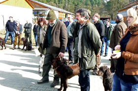 Zuchtschau Eschenau 2011					 							 Gemeldet: 18, geprüft:18, bestanden:17 Hunde 							Punkte 						 						 							Kira von der Riedleite 43/09, gew. 24.01.2009, spl,sil,AH 								F:Alfons Reiner, 86502 Osterbuch 							77 						 						 							Mira von der  Schmiede 16/09, gew. 29.01.2009, spl,sil 							F: Ulrich Mergner, 96157 Ebracht 							76 						 						 							Herzog von Buchheim 444/08, gew. 03.10.2008, stumm 							F: Christian Seelmann, 91315 Höchstadt/A, 							75 						 					 							/Horneth von Buchheim 446/08, gew. 03.10.2008, sil 							F: Leonhard Schmieg, 91593 Buchheim 							74 						 					 							Hanno vom Emsdeich 582/08, gew. 26.12.2008, sil 							F: Uwe Meißner, 91620 Ohrenbach 							73 						 					 							Bazi vom Labertal 522/08, gew. 02.11.2008,sil 							F: Detlev Ring, 96152 Burghaslach 							70 						 					 						Yesterday vom Sämmenhof 384/09, gew. 06.09.2009, sil 							F: Hans Sämmer, 97950 Gerchsheim 						67  					 					 						Yesko vom Sämmenhof 377/09, gew. 06.09.2009, Laut fragl 							F: Hans Sämmer, 97950 Gerchsheim 						67 					 					 						Yulchen vom Sämmenhof 385/09, gew. 06.09.2009, silF: Kerstin Epp, 97957 Wittighausen 						66 					 					 						Ayka von der Bachmühle 540/08, gew. 25.12.2008, sil 							F: Erika Hauf, 91598 Colmberg 						63  					 					 						Heidi von Buchheim 445 /08, gew. 03.10.2009, sil 							F: Burkhard Merget, 63791 Karlsteins 						55 					 					 						Bero vom großen Herzberg 279/09, gew. 06.05.2009, sil 							F: Bernd Franke, 31195 Lamspringe 						54 					 					 						 							 								 									 										Hunde aus dem Zuchtversuch 									 								 							 						 					 					 						 							 						 					 					 						Etzel von Buchheim 34ZV09 - 65/09, gew. 06.02.2009, spl 							F: Ursula Reese-Schicker, 90592 Schwarzenbruck 						74 					 					 						Esche von Buchheim 37ZV09 - 68/09, gew. 06.02.2009, spl 							F: Christoph Rabeler, 25872 Ostenfeld 						70 					 					 						Enjia von Buchheim 36ZV09 - 67/09, gew. 06.02.2009, spl, sil 							F: Klaus Eisen, 97215 Simmershofen 						67 					 					 						Eiko von Buchheim 32ZV09 - 63/09, gew. 06.02.2009, spl 							F: Waltraud Müller, 91572 Bechhofen 						63 					 					 						Equo von Buchheim 33ZV09 - 64/09, gew. 06.02.2009, spl 							F: Jörn Cordes, 26840 Koldenbüttel 						62  					 					 				 				 				Suchensieger wurde Kira von der Riedleite, geführt von Alfons Reiner 			 			 	