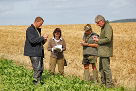 HZP Buchheim 2013