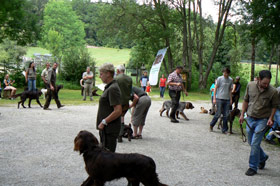 Zuchtschau SCL Köschinger Waldhaus 2013