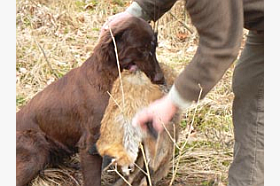 btr fuchs gerolzhofen