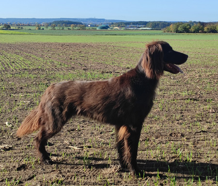 abby-vom-kirchenweiher